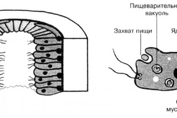 Кракен сайт 14