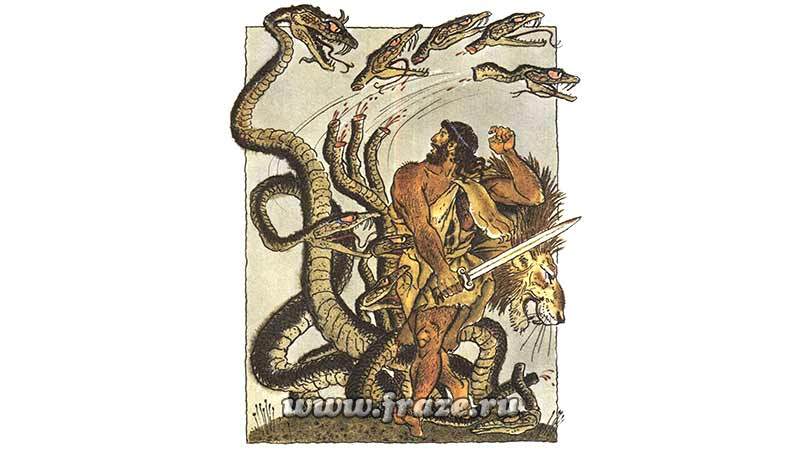 Кракен тор krakens13 at